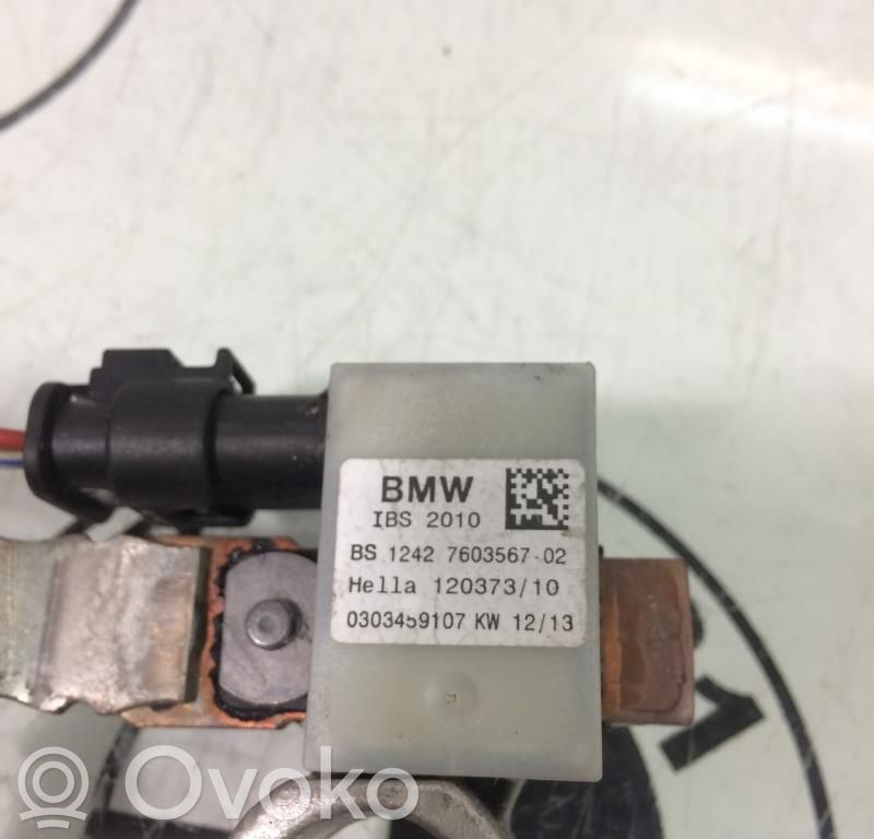 Mini Paceman (R61) Car battery 