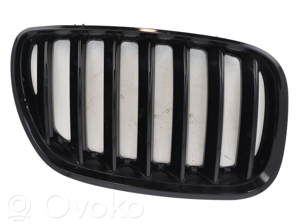 BMW X5 E53 Front bumper upper radiator grill 