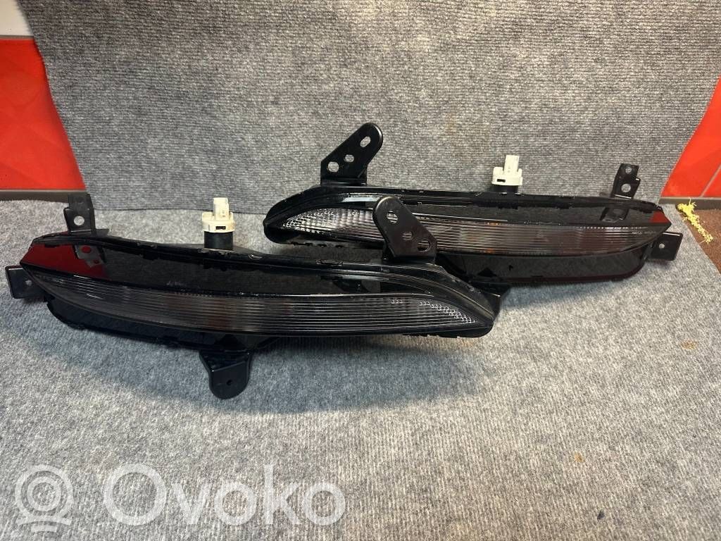 Frontblinker   261306376R,2BA01234902,2BA012349