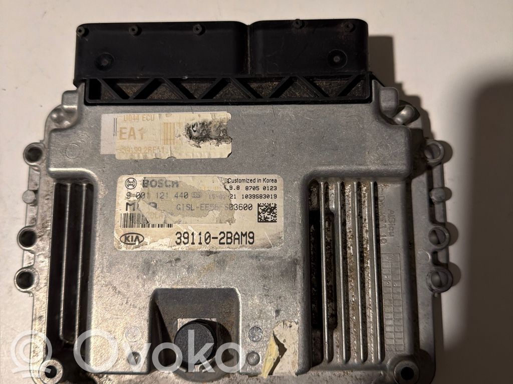 KIA Sportage Other control units/modules 