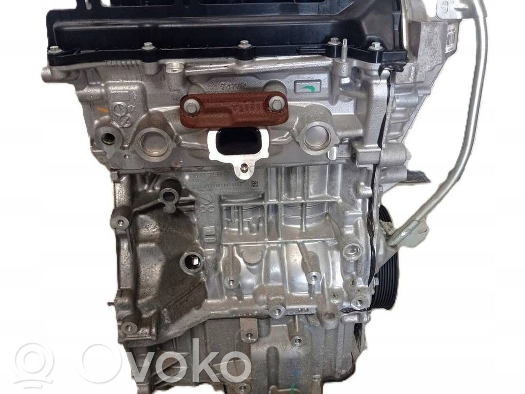 Dzinējs   H4DB450,100011358R,06042019