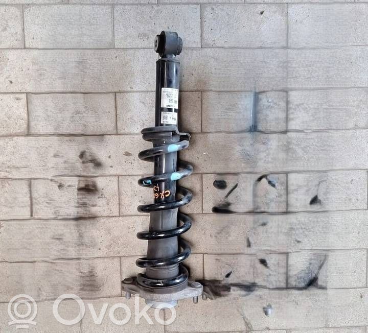 Amortyzator osi tylnej ze sprężyną   KBB628700C,B0303602,814903020232