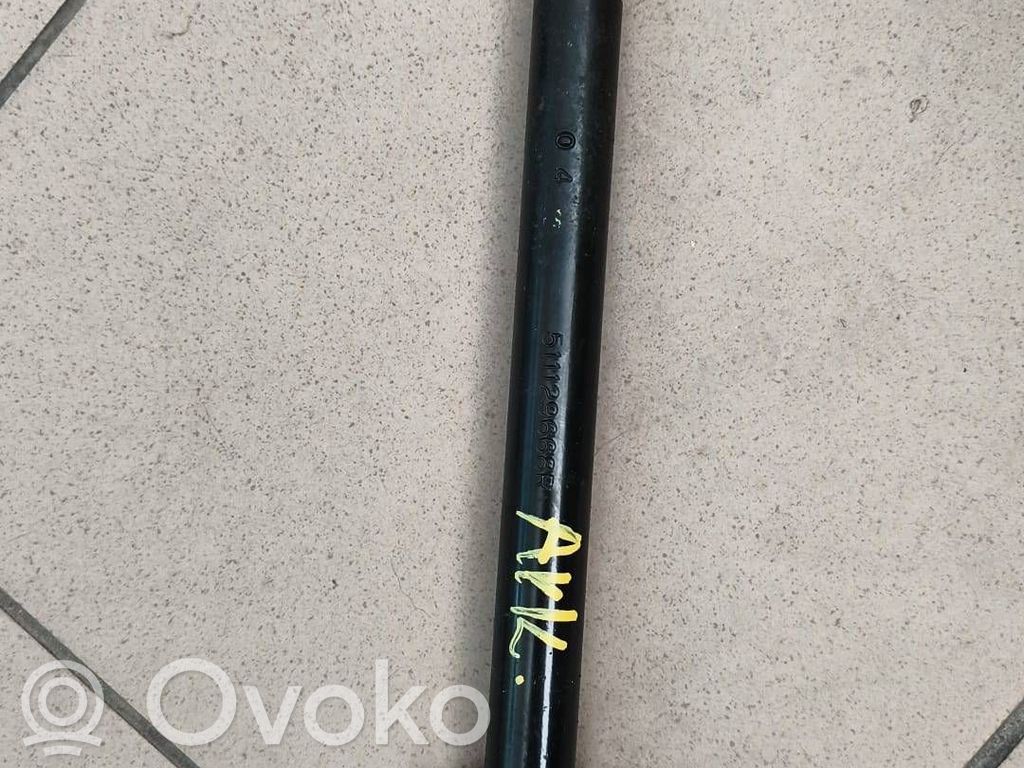 Renault Arkana Towing hook eye 