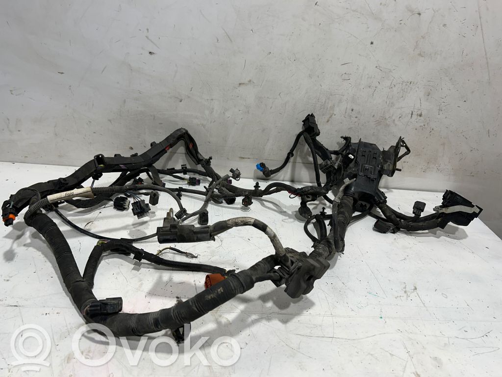 Ford Fiesta Проводка двигателя 