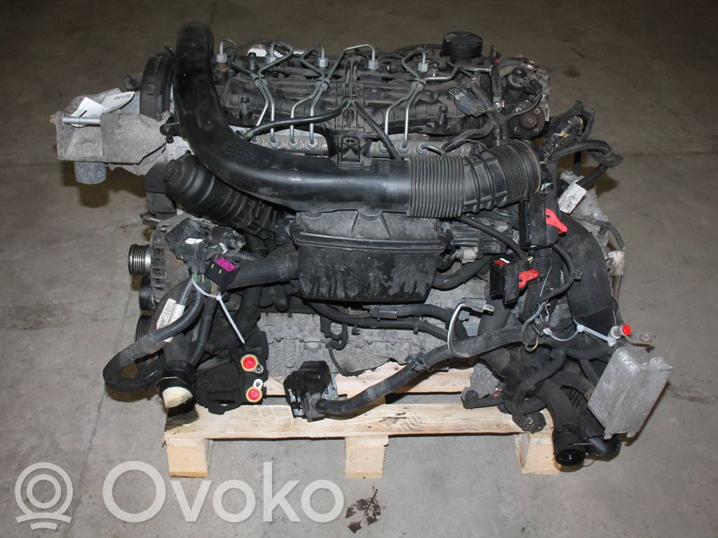 Engine   D5244T12