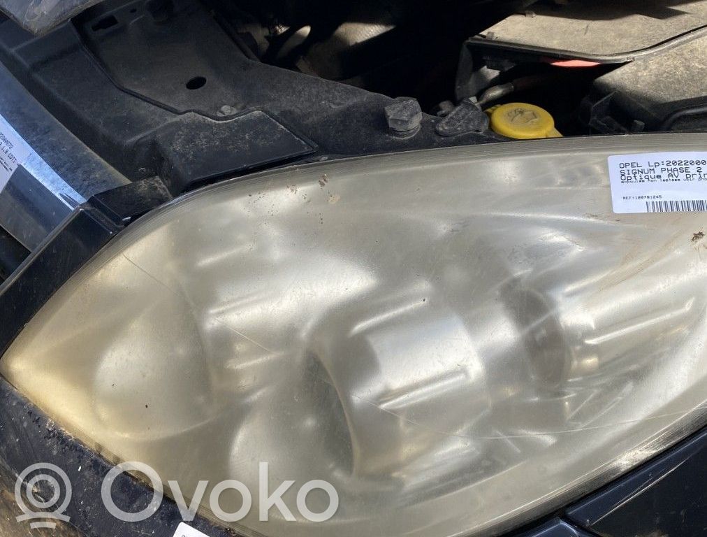 Opel Signum Scheinwerfer 