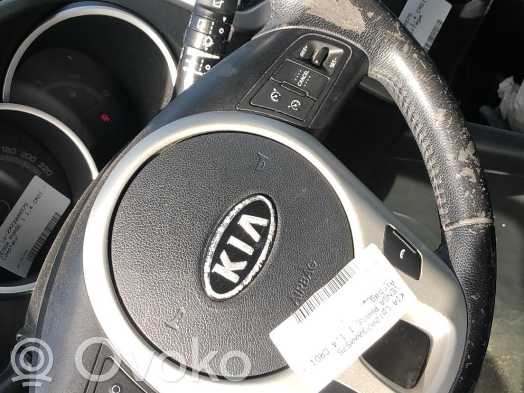 Poduszka powietrzna Airbag kierownicy   569001P500