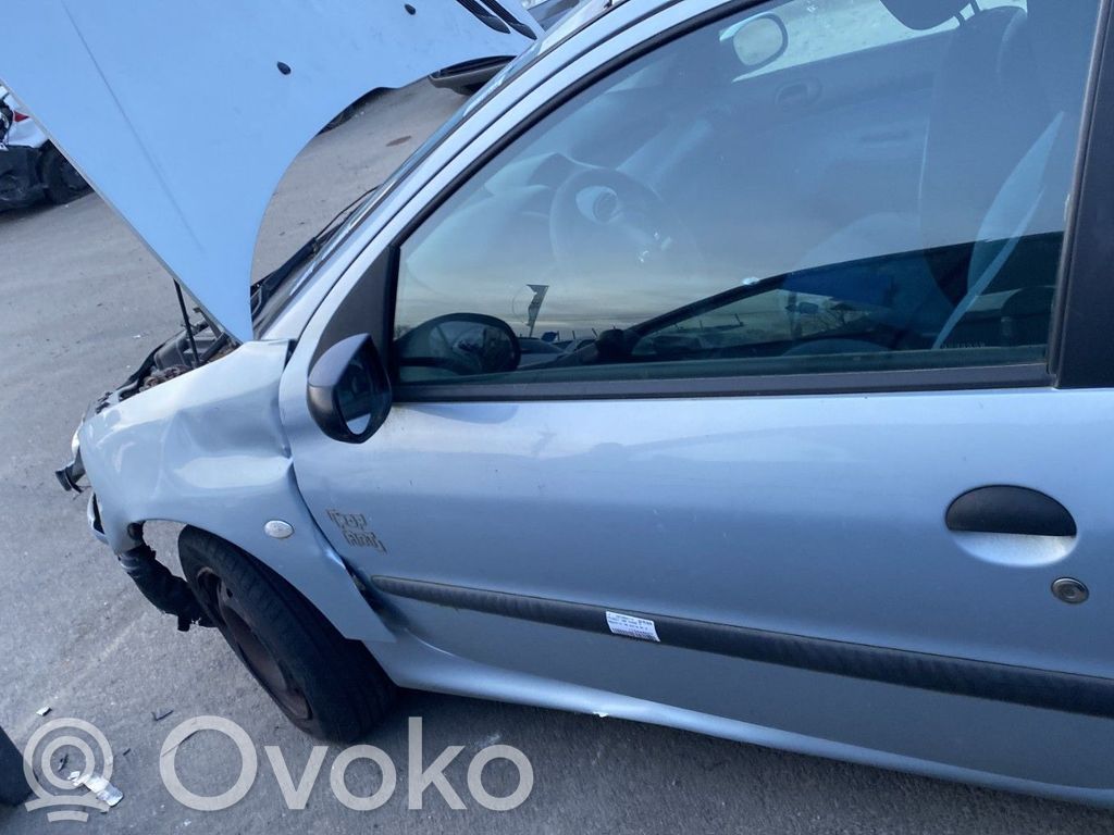 Peugeot 206 Durvis 
