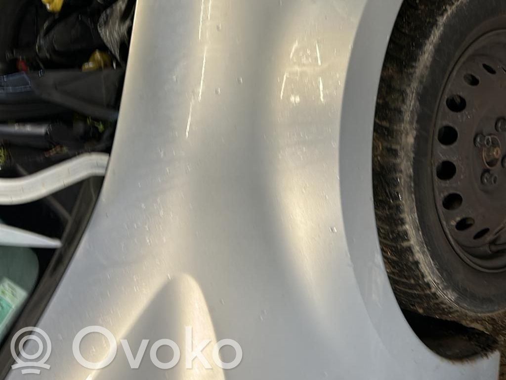 Lokasuoja   631007942R