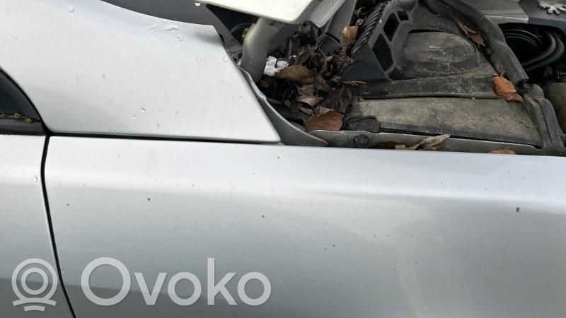 Peugeot 407 Parafango 