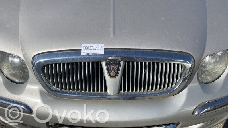 Grille de calandre avant