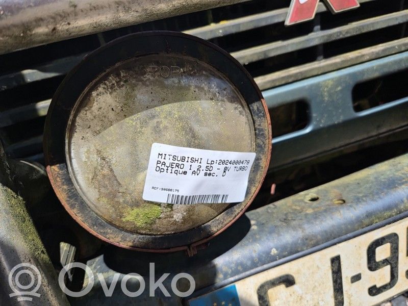 Seitenblinker