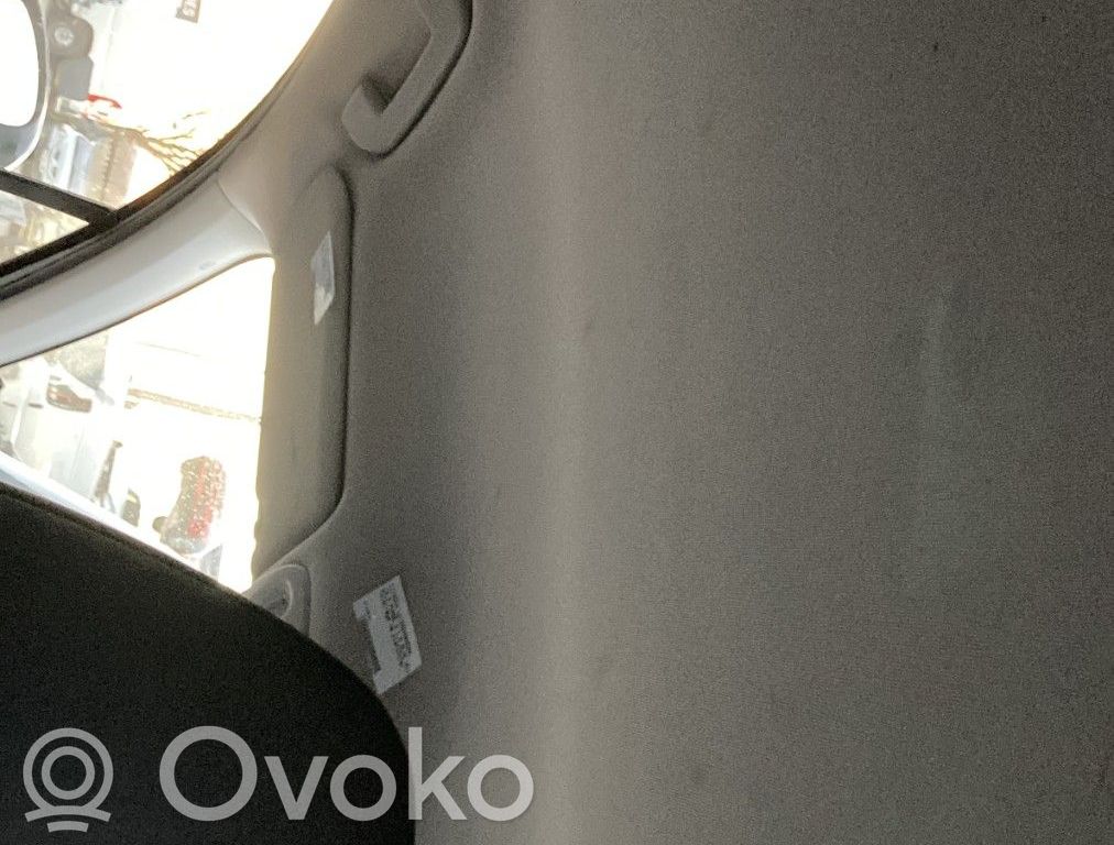 Citroen C4 II Techo 