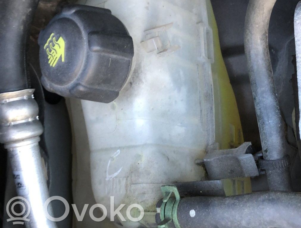 Renault Scenic III - Grand scenic III Serbatoio di compensazione del liquido refrigerante/coperchio