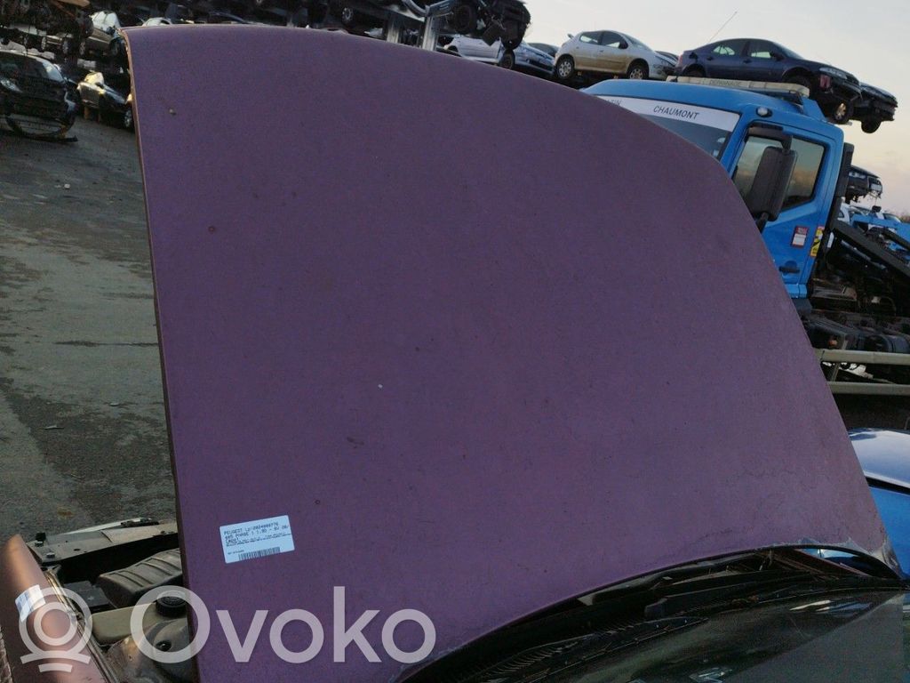 Peugeot 405 Dzinēja pārsegs (vāks) 