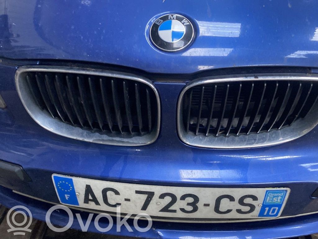Front grill   51137166440