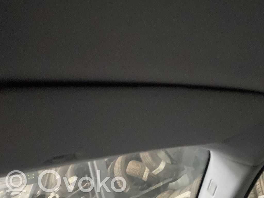 Osłona przeciwsłoneczna   51167252506