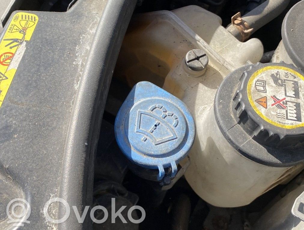 Land Rover Range Rover Sport L320 Rezervor lichid spălare parbriz 