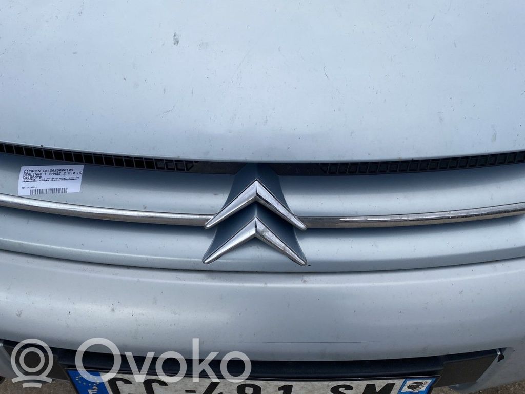 Citroen Berlingo Front grill 
