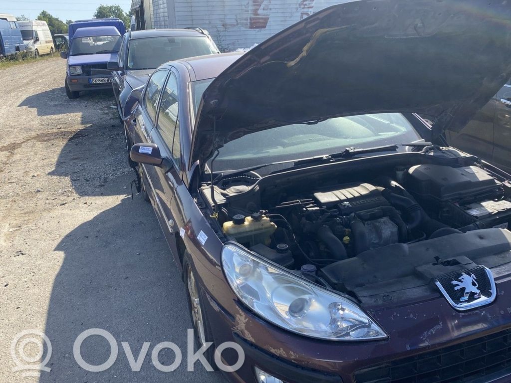Peugeot 407 Pompă servodirecție 