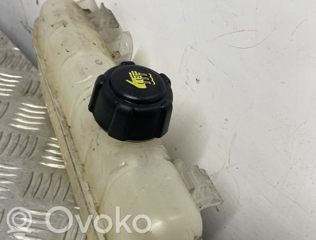 Renault Zoe Serbatoio di compensazione del liquido refrigerante/coperchio 