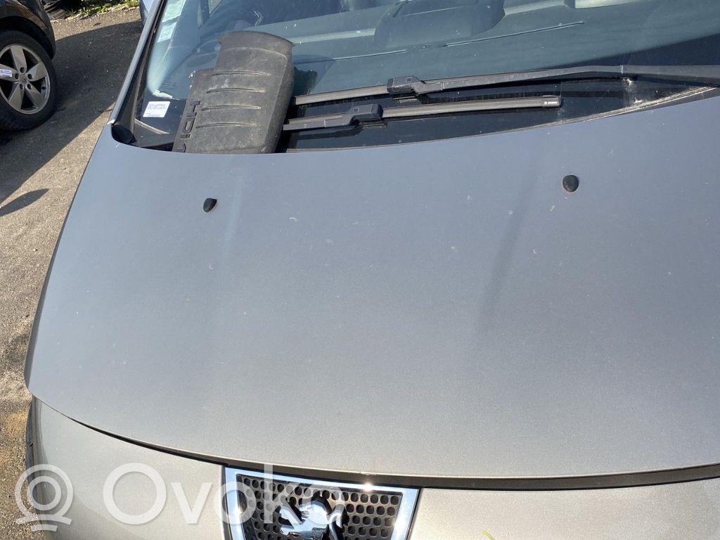 Peugeot 3008 I Vano motore/cofano