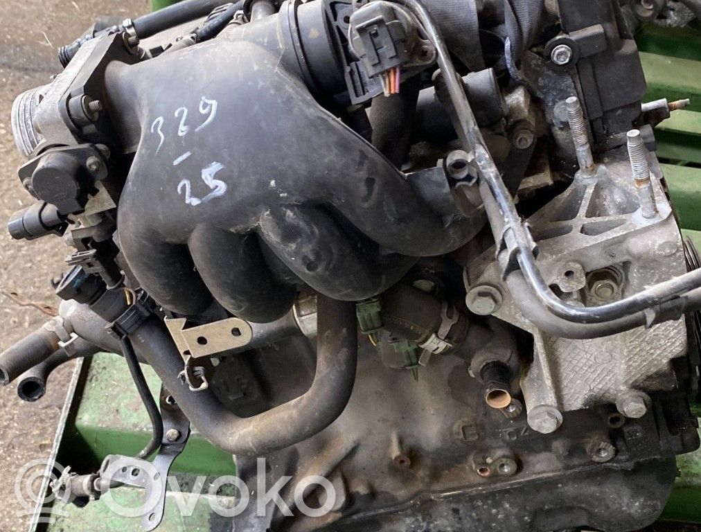 Peugeot 206 Variklis 