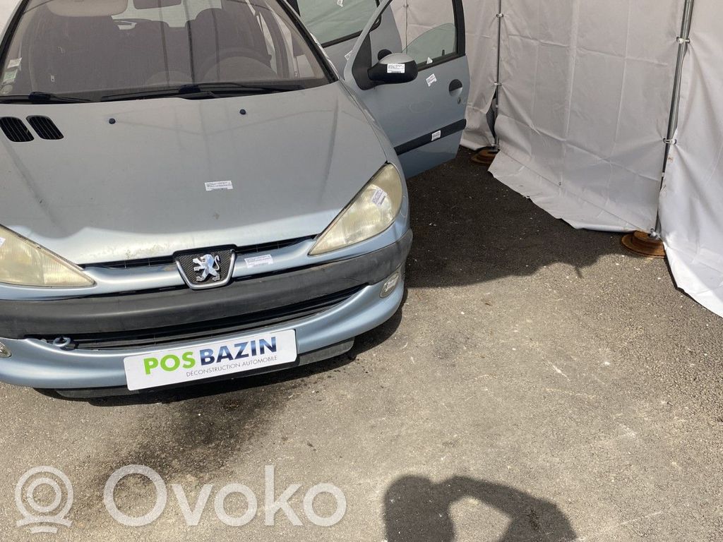 Peugeot 206 Vairo kolonėlė 