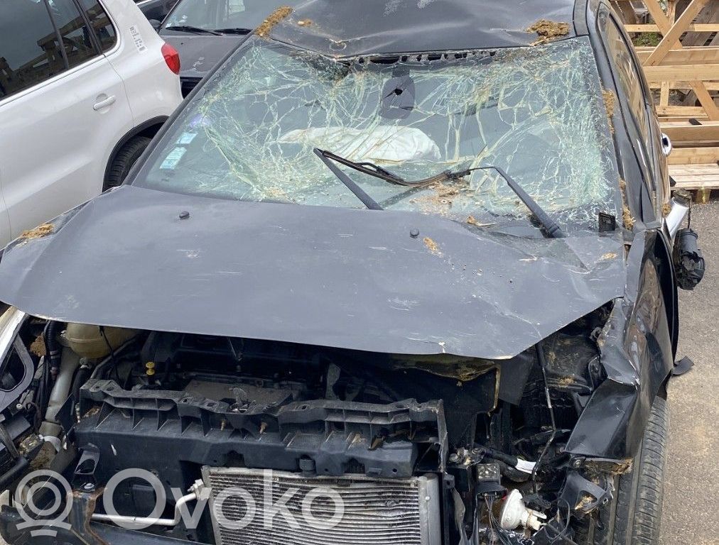 Citroen DS3 Polttoainesäiliö 