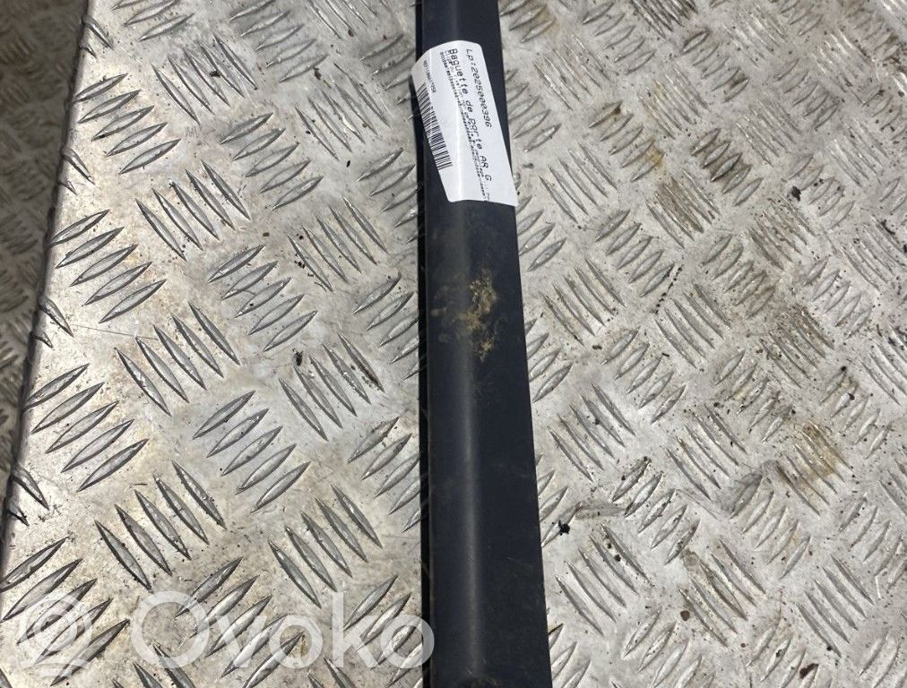 Renault Clio III Moulure de porte arrière
