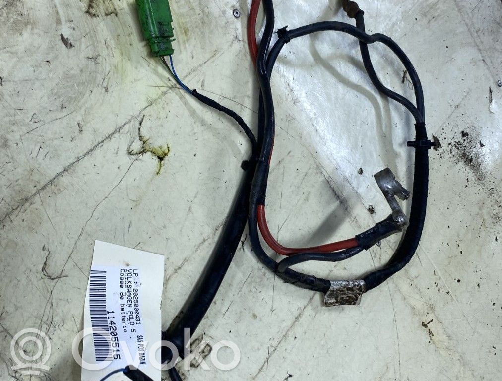 Volkswagen Polo V 6R Cavo negativo messa a terra (batteria) 