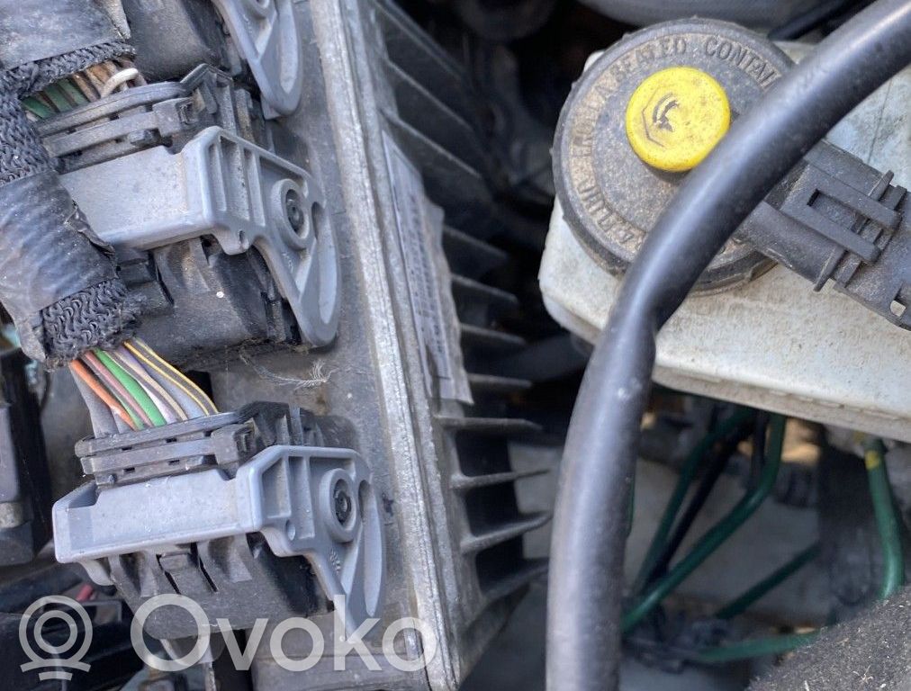 Engine control unit/module   8200767242