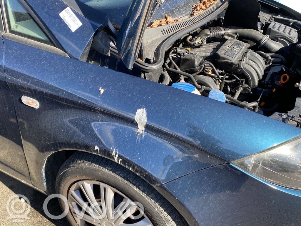 Guardabarro   5P0821022A