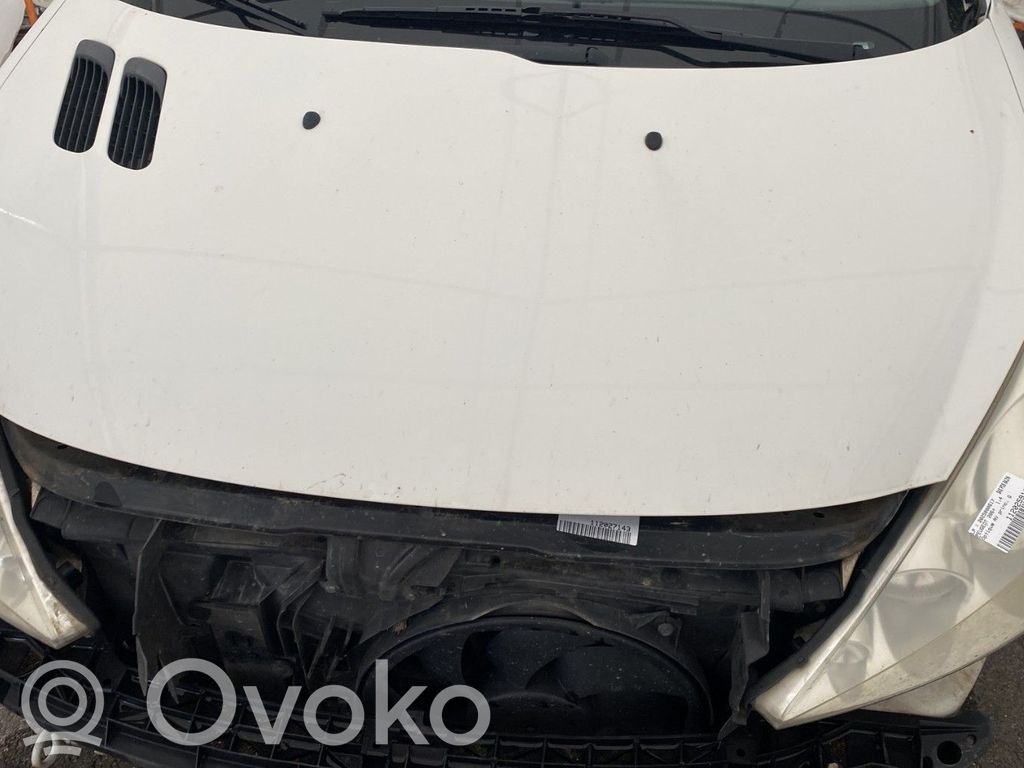 Peugeot 206+ Vano motore/cofano 