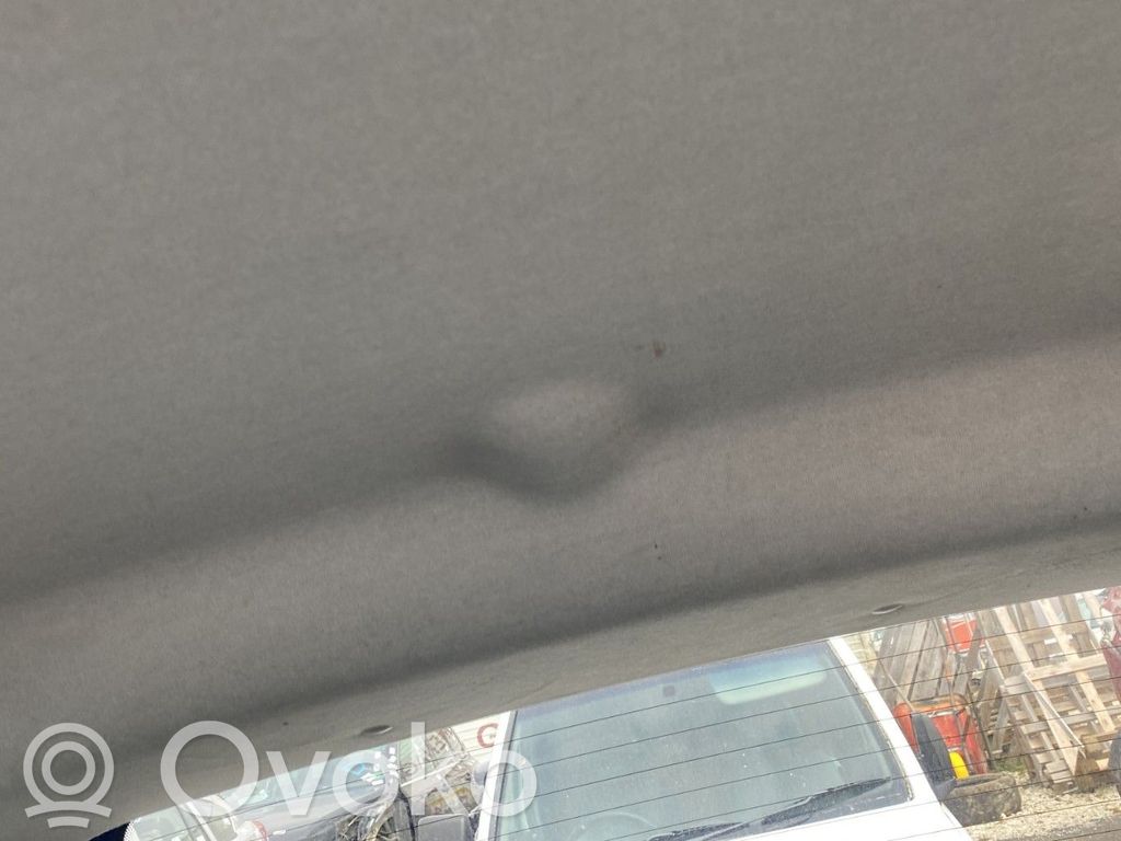 Peugeot 1007 Headlining 