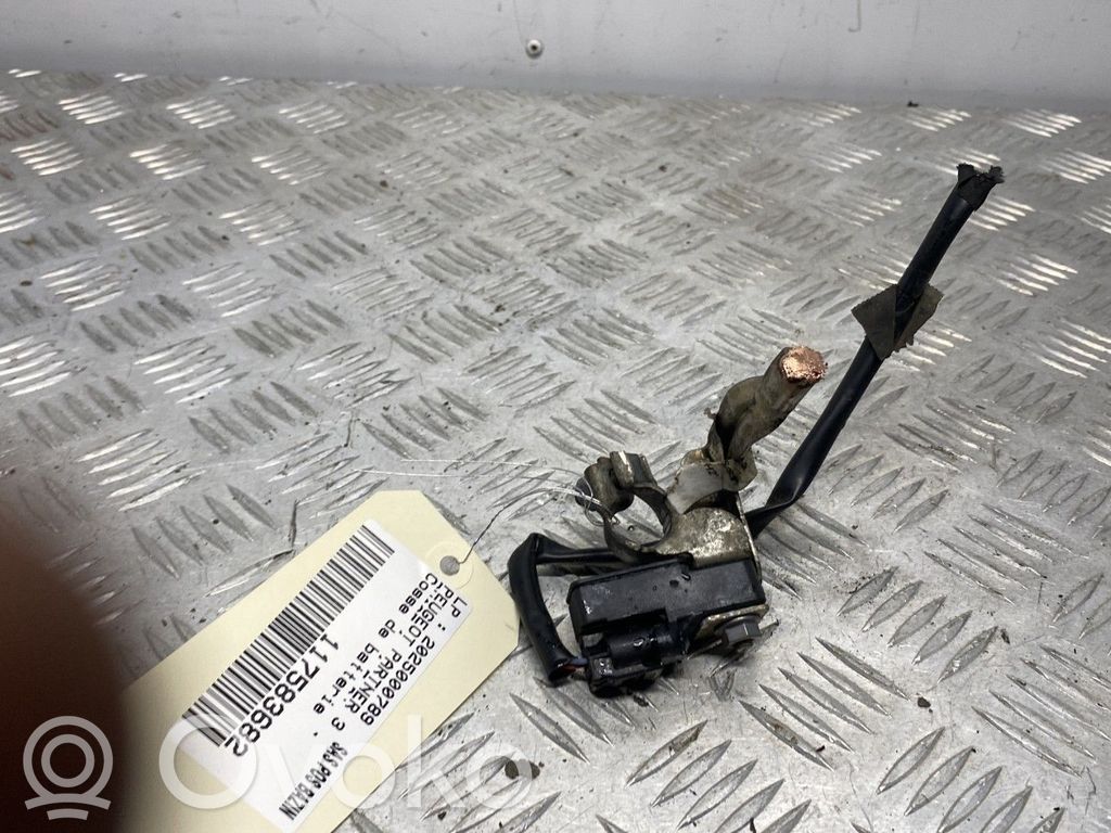 Peugeot Partner III Cable negativo de tierra (batería) 