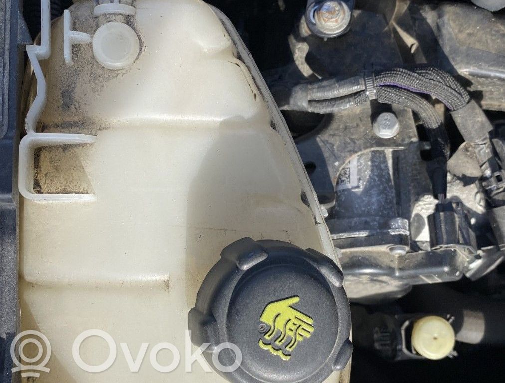 Renault Kangoo II Korek zbiornika wyrównawczego chłodziwa