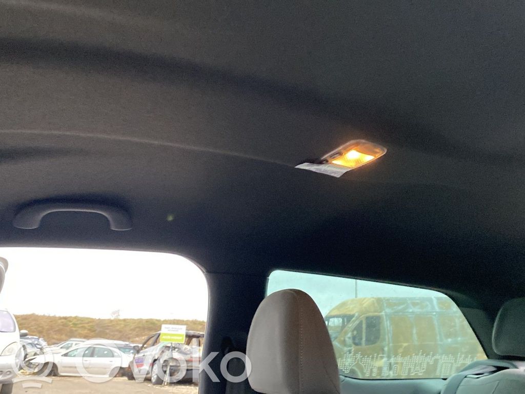 Citroen DS3 Dachhimmel 