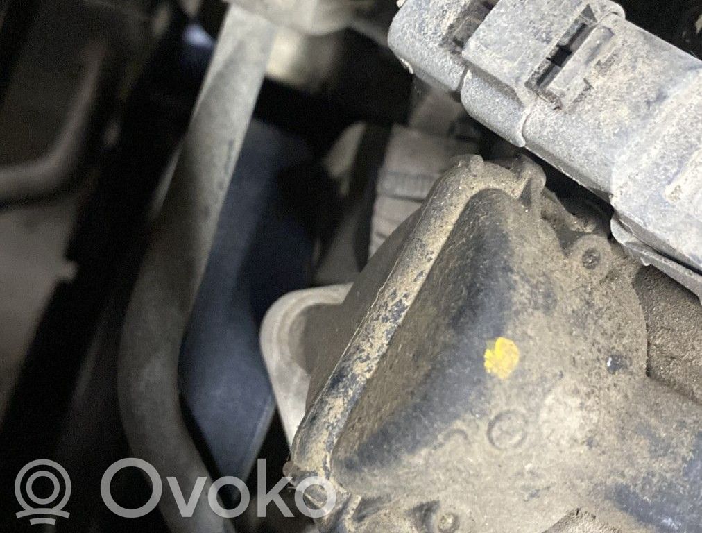 Citroen Berlingo Ohjaustehostimen pumppu 