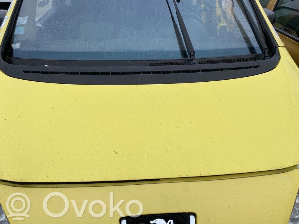 Konepelti   7901Q5