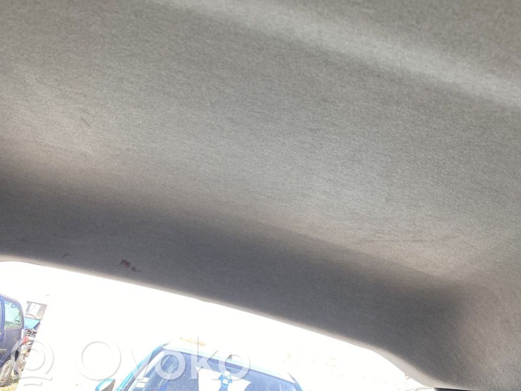 Renault Twingo II Потолок 