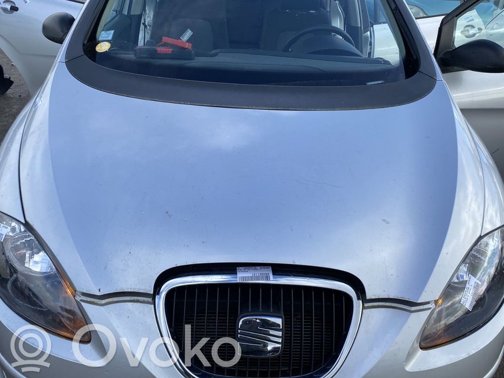 Seat Altea Vano motore/cofano 