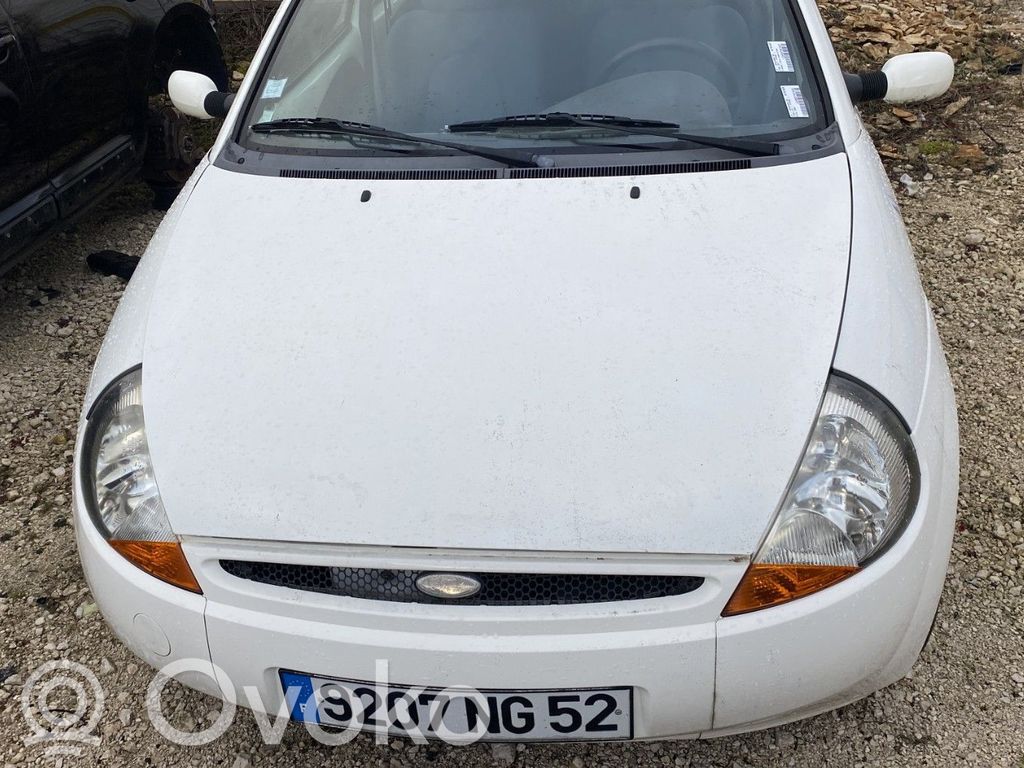 Konepelti   1087913