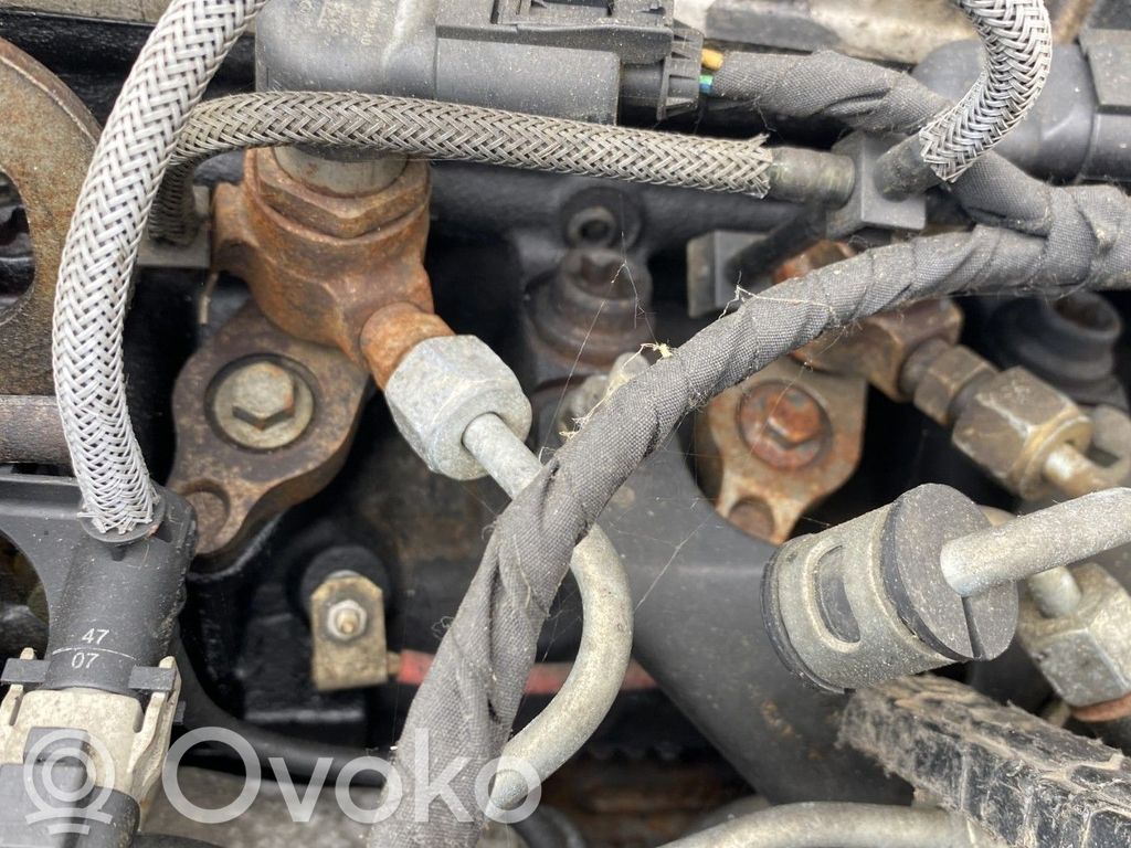Ford S-MAX Sprausla (-i) 