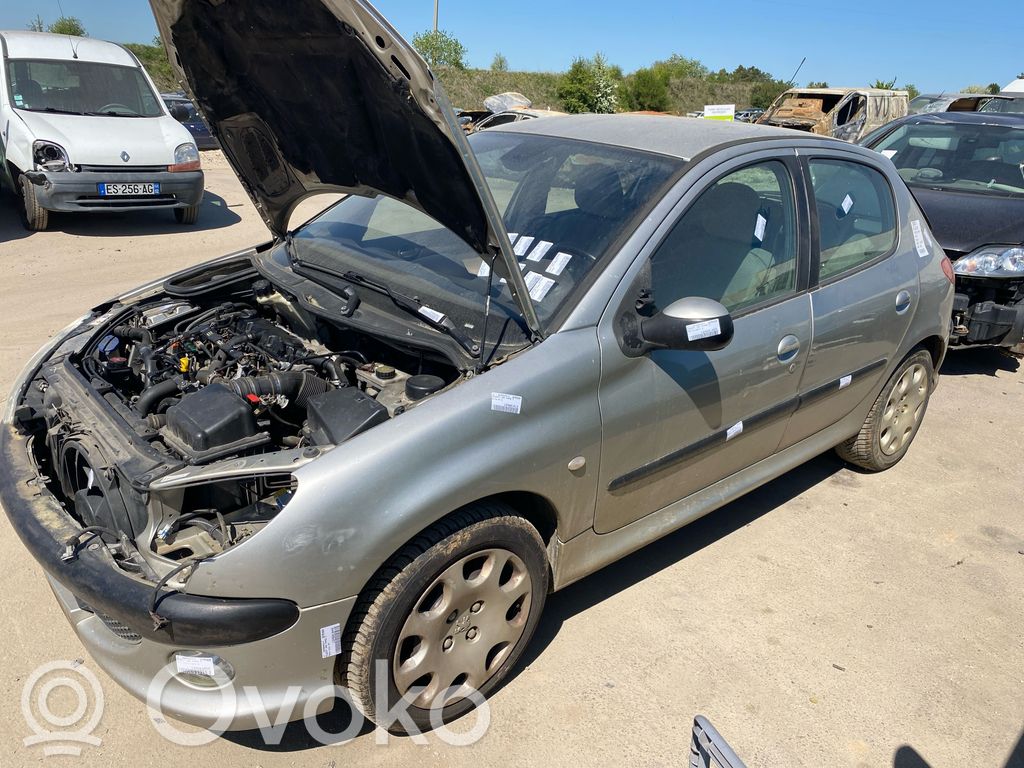 Peugeot 206 Vairo kolonėlė 