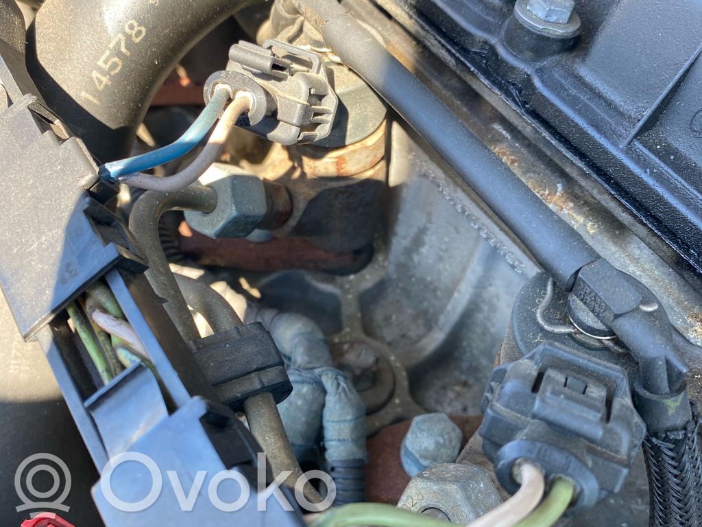 Peugeot 206 Injector combustibil 