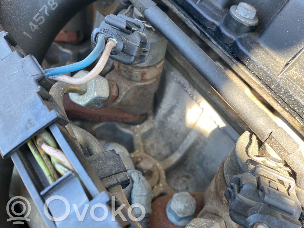 Peugeot 206 Injector combustibil 