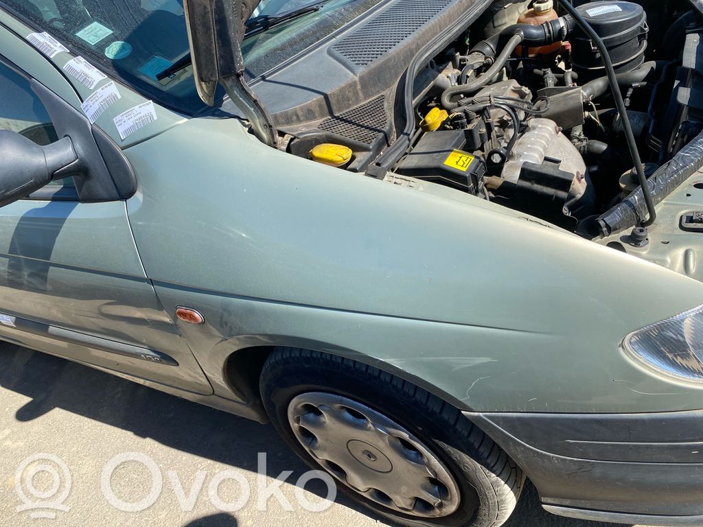Renault Scenic I Крыло 