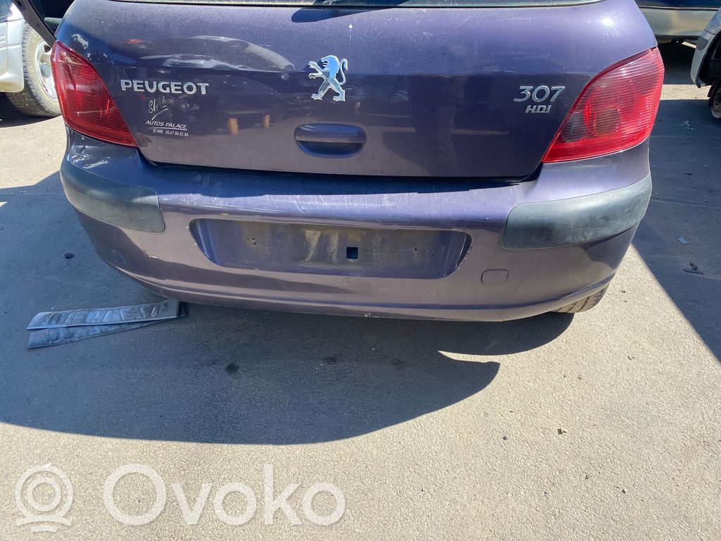 Peugeot 307 Parachoques 