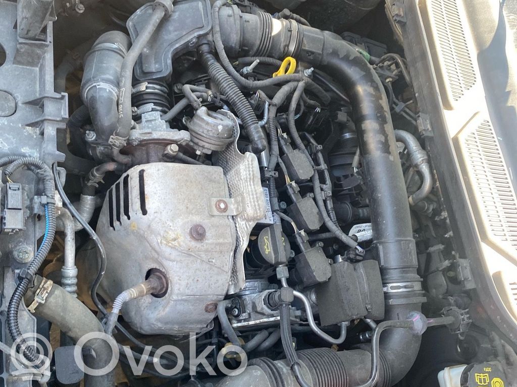 Ford Ecosport Двигатель 